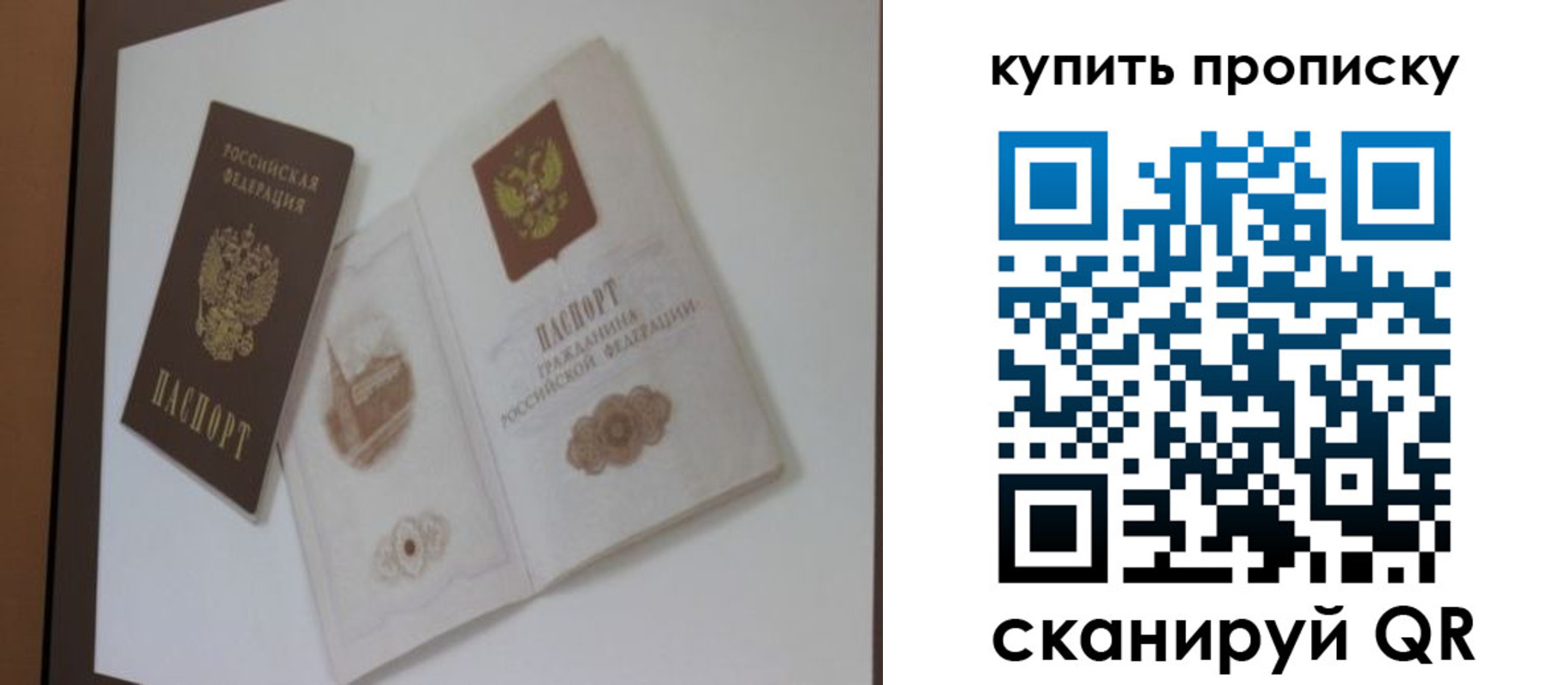 где прописаться в Ельне